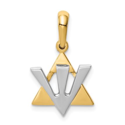 14K Two-tone Star of David with Shin Symbol Charm