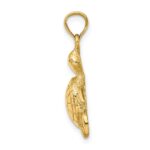 14K Polished Turtle with Textured Shell Charm - Image 2