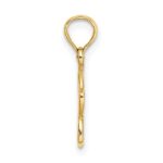 14k Cut-out Plumeria Flower Charm - Image 2