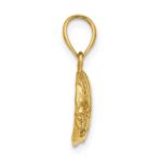 14K 2-D Polished Textured Bannerfish Charm - Image 2