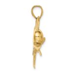 14K 2-D Male Dorado (Mahi-Mahi) Charm - Image 2