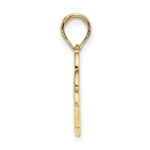 14K SAN DIEGO Banner Dolphins Charm - Image 2