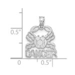 14k White Gold CANCER Zodiac Charm - Image 2