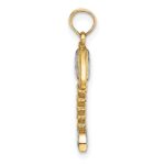 14K and White Rhodium 3-D Fishbone Charm - Image 2