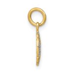 14K and White Rhodium Diamond-cut Mini Pinwheel Medallion Charm - Image 2