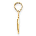 14k 10mm Textured Angel Coin Charm - Image 2
