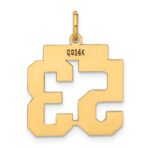 14k Medium Polished Number 53 Charm - Image 3