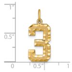 14k Large Brushed Diamond-cut Number 3 Charm - Image 4