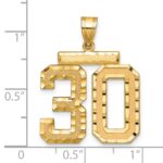 14k Large Brushed Diamond-cut Number 30 Charm - Image 3