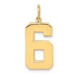 14k  Large Polished Number 6 Charm
