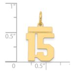 14k Small Polished Number 15 Charm - Image 4