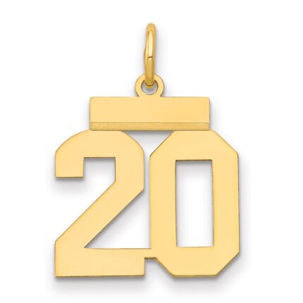 14k Small Polished Number 20 Charm