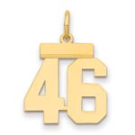 14k Small Polished Number 46 Charm