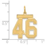 14k Medium Satin Number 46 Charm - Image 4