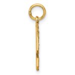 14k Medium Diamond-cut Number 9 Charm - Image 2