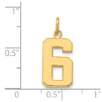 14k Medium Polished Number 6 Charm - Image 4