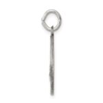 Sterling Silver Antiqued San Juan Los Lagos Medal - Image 2
