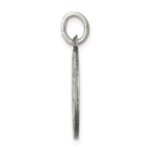 Sterling Silver Antiqued Saint Luke Medal - Image 2