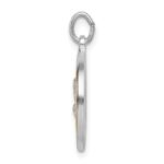 Sterling Silver Platinum-plated & Gold Tone St Peregrine Medal - Image 2