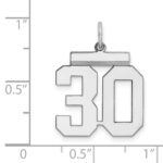 Sterling Silver Gold-plated Medium Polished Number 30 Charm - Image 4