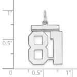 Sterling/Silver Rhodium-plated Polished Number 81 Charm - Image 3
