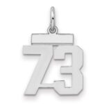 Sterling Silver/Rhodium-plated Polished Number 73 Charm