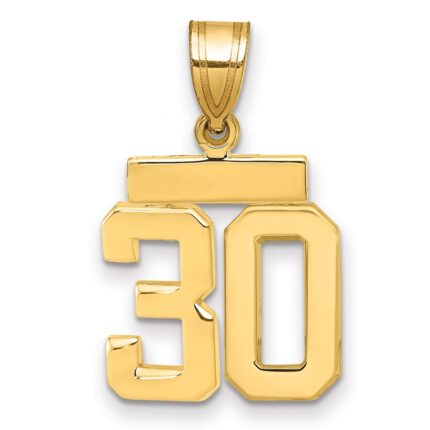 14k Small Polished Number 30 Charm