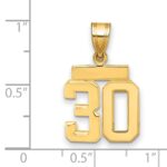 14k Small Polished Number 30 Charm - Image 2