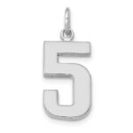 14kw Medium Polished Number 5 Charm
