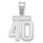 14kw Small Polished Number 40 Charm