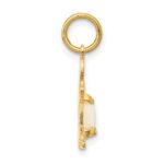14K Boy Charm 6x4 Oval Genuine Opal-October - Image 2