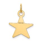 14K Plain .018 Gauge Engravable Star 17x15mm Disc Charm - Image 3