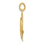14k Polished and Satin Hollow Spanish Guardian Angel Medal Round Pendant - Image 2