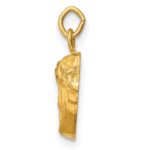 14k Hollow Polished and Satin Small Jesus Medal - Image 2