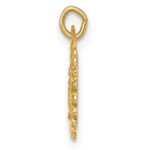 14k Polished and Satin Solid Tiny Round Scalloped Miraculous Medal Charm - Image 2