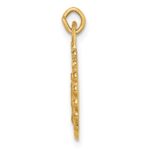 14k Polished and Satin Solid Small Round Scalloped Miraculous Medal Charm - Image 2