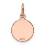 14k Rose Gold Plain .018 Gauge Round Engraveable 10mm Disc Charm - Image 3