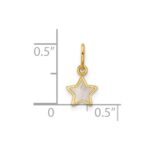 14K Polished Mother of Pearl Star Pendant - Image 4