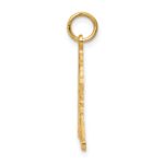 10K Hockey Charm - Image 2