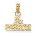 10K #1 Nurse Pendant - Image 3