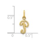 10k Initial P Charm - Image 3