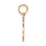 10K 100% LEO Zodiac Charm - Image 2