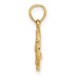 10K Sand Dollar W/Star - Image 2