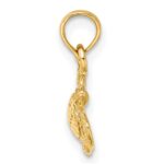 10K Textured Sea Turtle Charm - Image 2