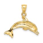 10K Textured Polished Dolphin Jumping Charm - Image 4