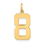 10k Large Polished Number 8 Charm
