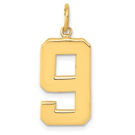 10k Large Polished Number 9 Charm