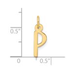10k Large Slanted Block Initial P Charm - Image 4
