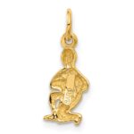 10k Aquarius Zodiac Charm - Image 4