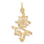 14k Long Life Symbol Charm
